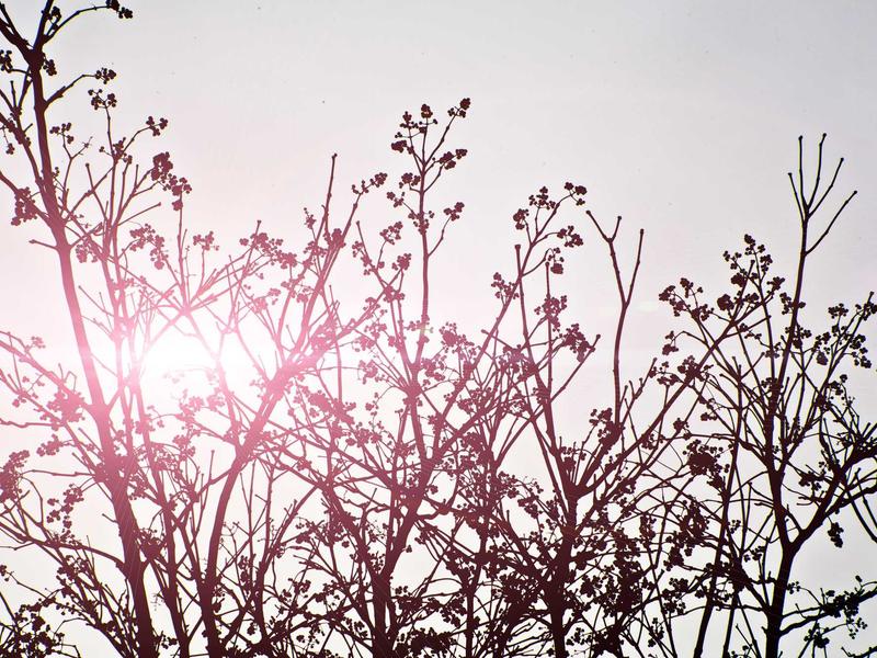 sudoku device transfer screenshot 3