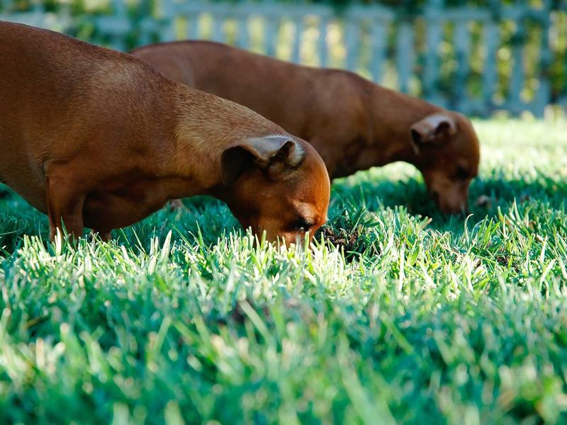 sudoku device transfer screenshot 1